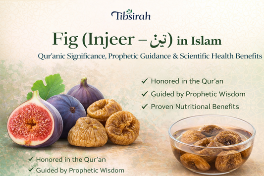 Fig (Injeer) in Islam: Qur’anic Significance, Prophetic Guidance & Scientific Health Benefits
