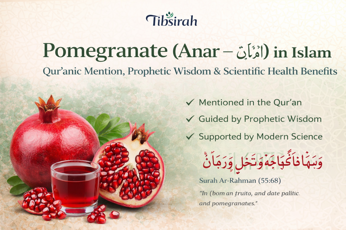 Pomegranate (Anar – الرمان) in Islam: Qur’anic Mention, Prophetic Wisdom & Scientific Health Benefits