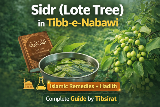 درختِ سدر (بیری) – طبِ نبوی ﷺ میں فضیلت، فوائد اور سائنسی حقائق  مکمل رہنمائی از