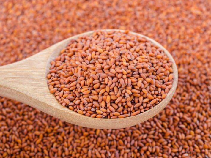 Garden Cress (As Safa) (Halim)